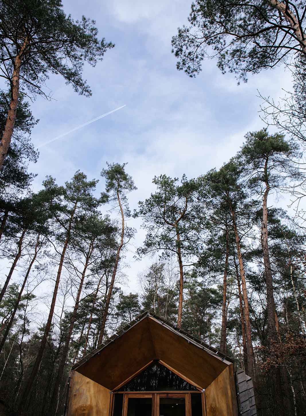 Het dak van een kleine houten cabin is zichtbaar, met daar achter enkele hoge naaldbomen in een bosrijk gebied.